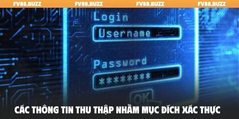 Các thông tin thu thập nhằm mục đích xác thực