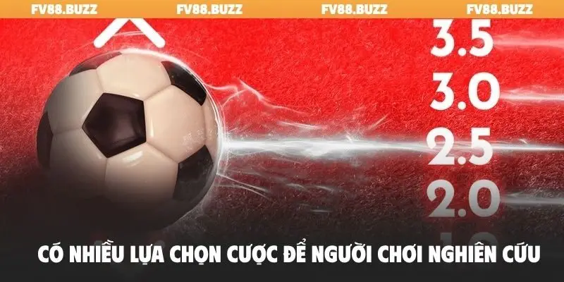 Có nhiều lựa chọn cược để người chơi nghiên cứu